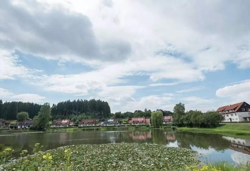 Modern Apartment In Bad Grund Wit Garden