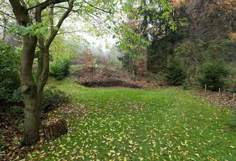 Modern Apartment In Bad Grund Wit Garden