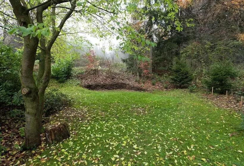 Modern Apartment In Bad Grund Wit Garden