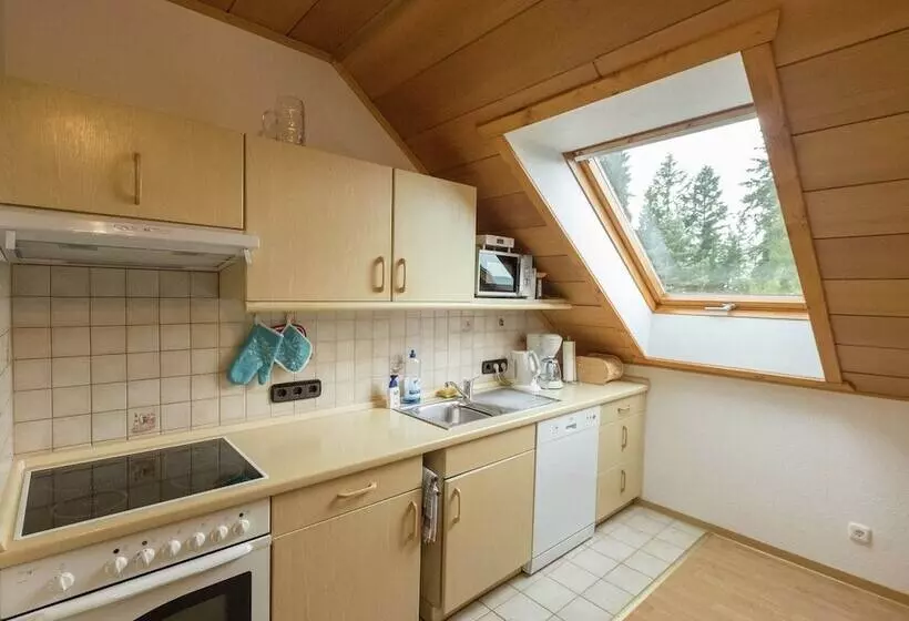 Modern Apartment In Bad Grund Wit Garden