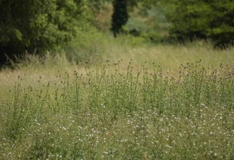 مبيت وإفطار Les Chambres D Agmara