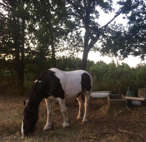 Пансион Chambres D Hotes 1001 Nuits Montalivet