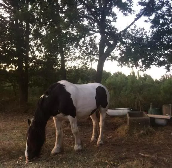 Majatalo Chambres D Hotes 1001 Nuits Montalivet