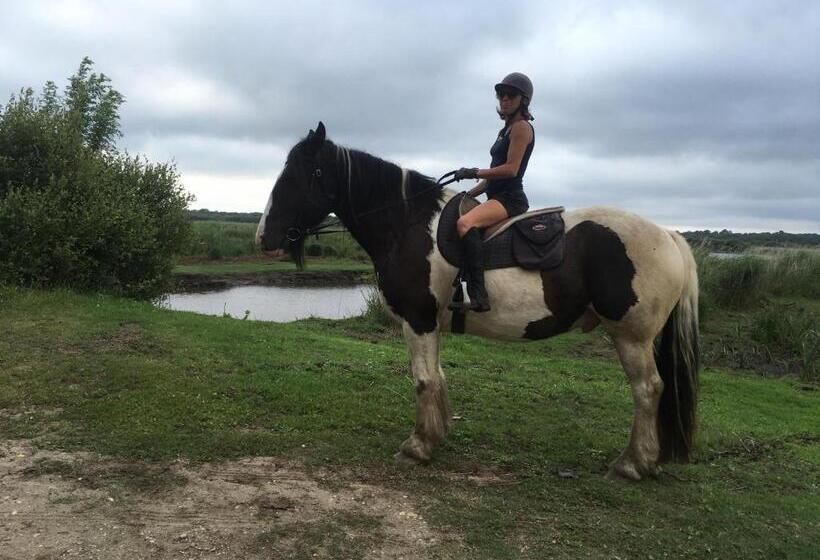 Пансион Chambres D Hotes 1001 Nuits Montalivet