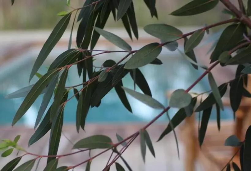 Majatalo Chambres D Hotes 1001 Nuits Montalivet