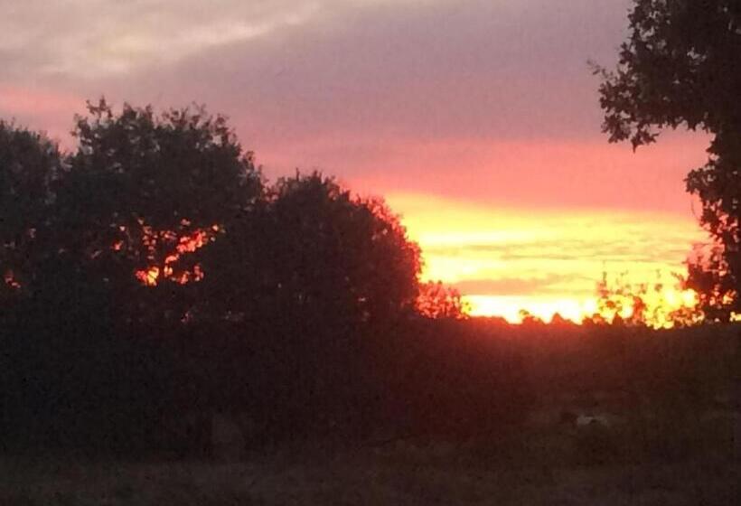 Пансион Chambres D Hotes 1001 Nuits Montalivet