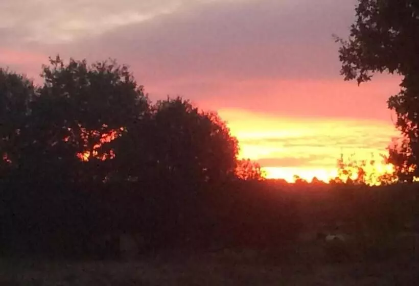 Majatalo Chambres D Hotes 1001 Nuits Montalivet