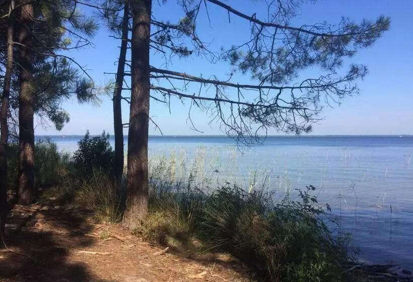 Majatalo Chambres D Hotes 1001 Nuits Montalivet