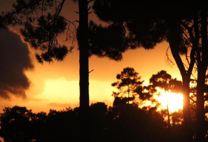 Пансион Chambres D Hotes 1001 Nuits Montalivet