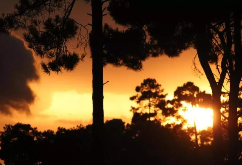 Majatalo Chambres D Hotes 1001 Nuits Montalivet