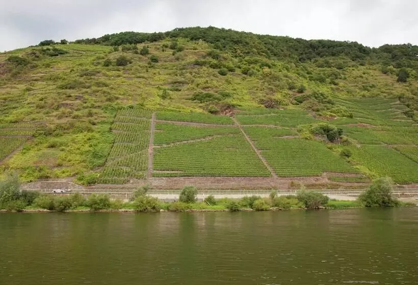 Pleasant Apartment In Ernst Bei Cochem With Garden