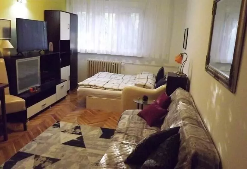 Studio Apartment Vijenac