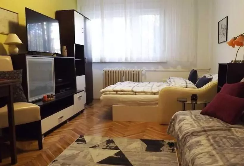 Studio Apartment Vijenac