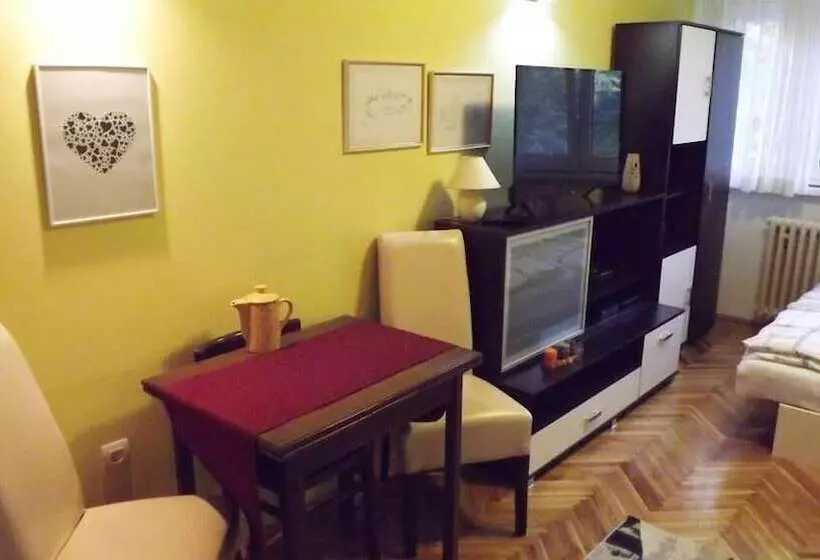 Studio Apartment Vijenac