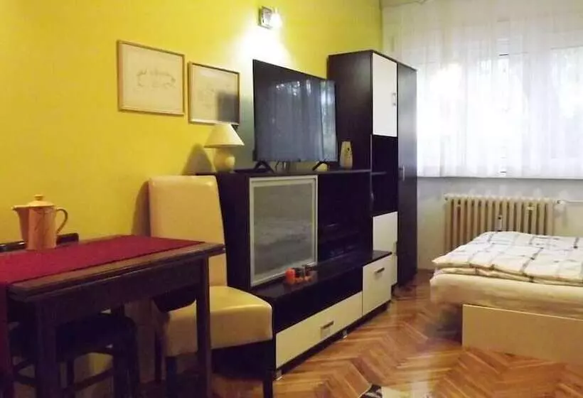 Studio Apartment Vijenac