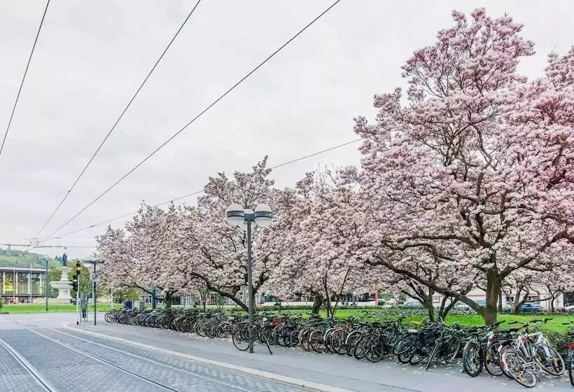 Wohnen Am Bäckerbrunnen Semmelstraße