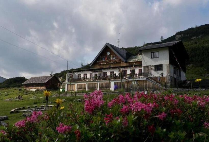 فندق Gjaid Alm 1739m Am Dachstein Only Accessible By Cable Car