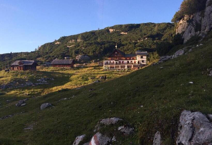 فندق Gjaid Alm 1739m Am Dachstein Only Accessible By Cable Car