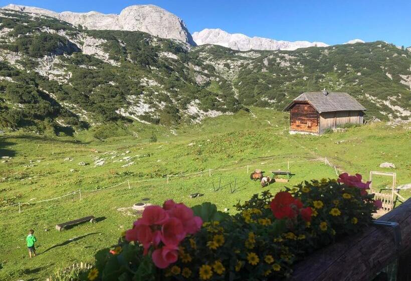 فندق Gjaid Alm 1739m Am Dachstein Only Accessible By Cable Car