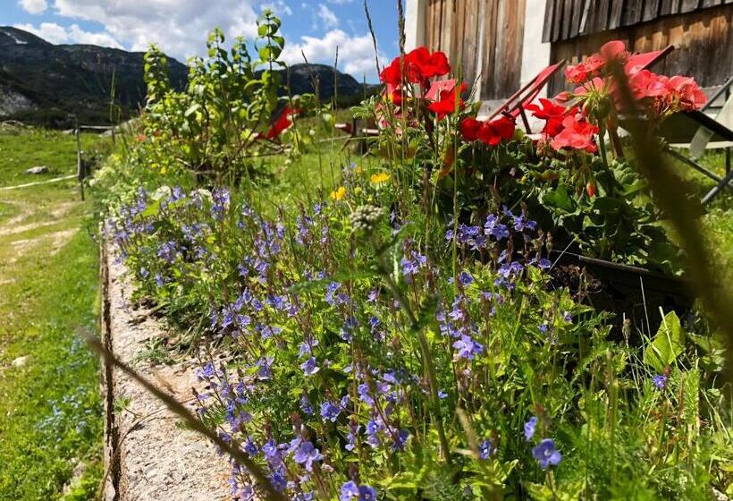 فندق Gjaid Alm 1739m Am Dachstein Only Accessible By Cable Car