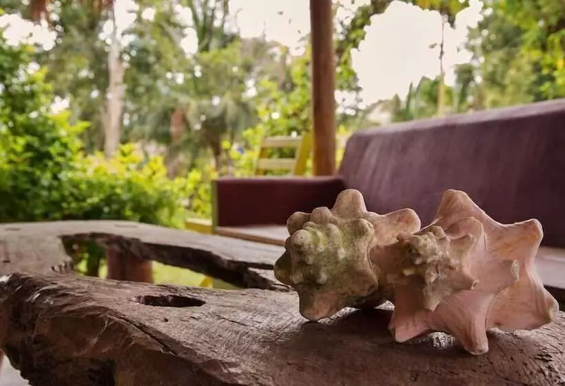 هتل Villas Ecotucan