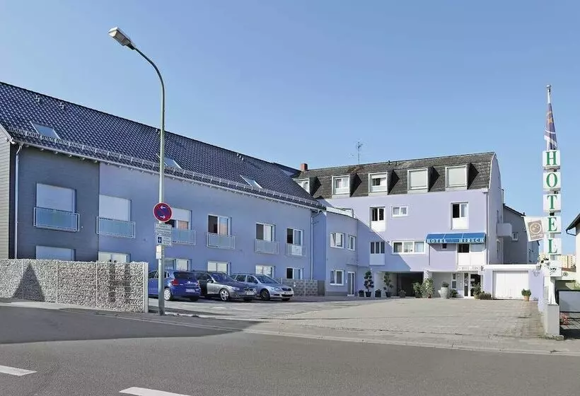 Hotelli Zum Hirsch Wörth Am Rhein