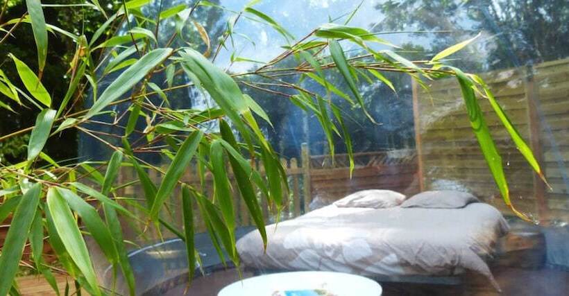 פנסיון Bulle D'r