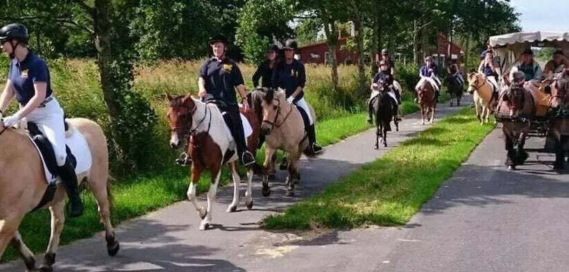 Reiterhof Maack