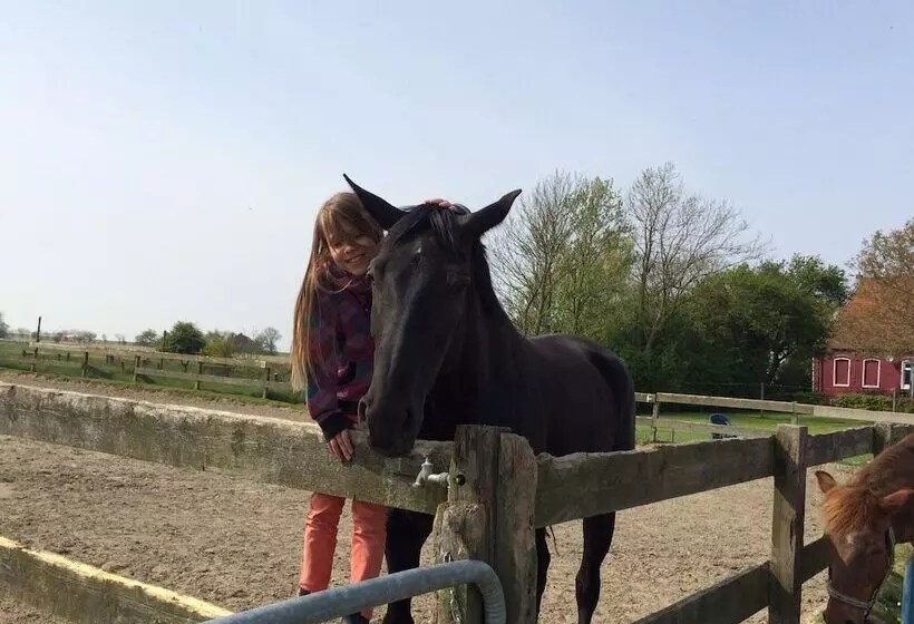 Reiterhof Maack