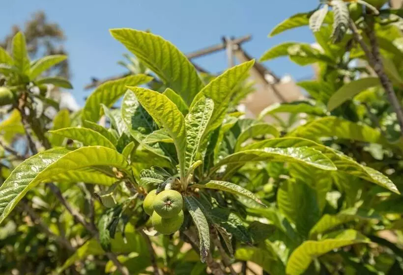Splendid Views From A Cozy Cottage With A Garden Terrace