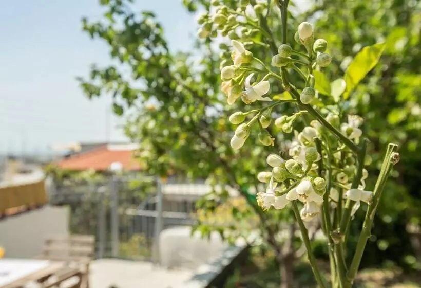 Splendid Views From A Cozy Cottage With A Garden Terrace