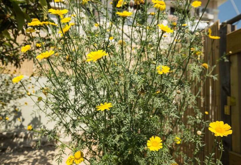 Splendid Views From A Cozy Cottage With A Garden Terrace