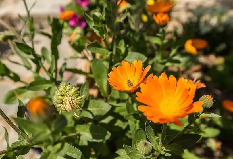 Splendid Views From A Cozy Cottage With A Garden Terrace