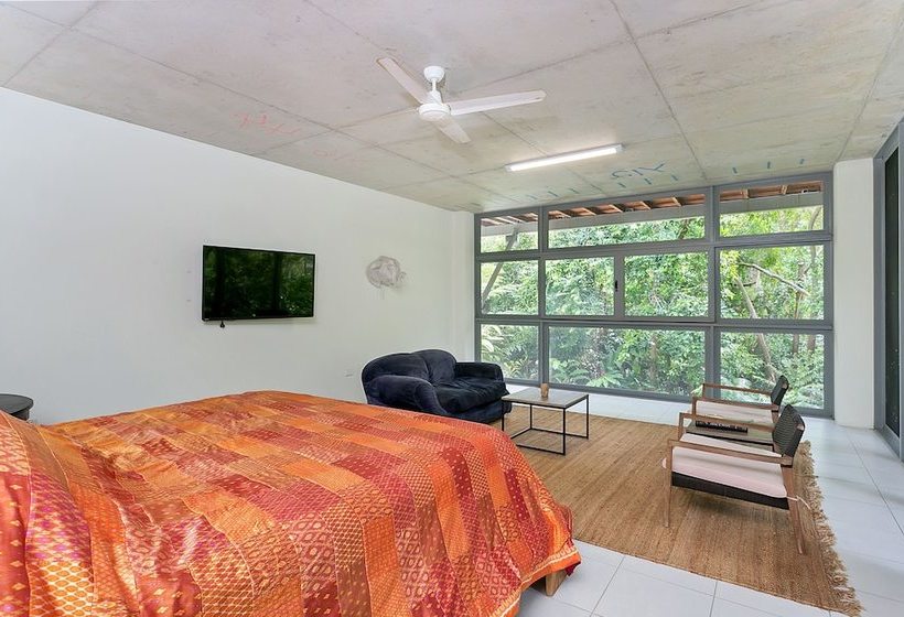 Veldree Palm Cove Rainforest And Beach