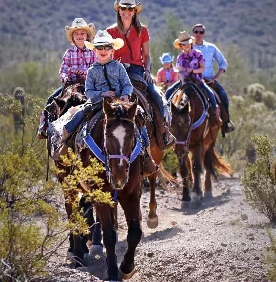 酒店 White Stallion Ranch