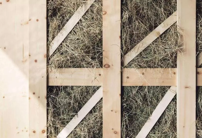 Hotelli Milla Montis