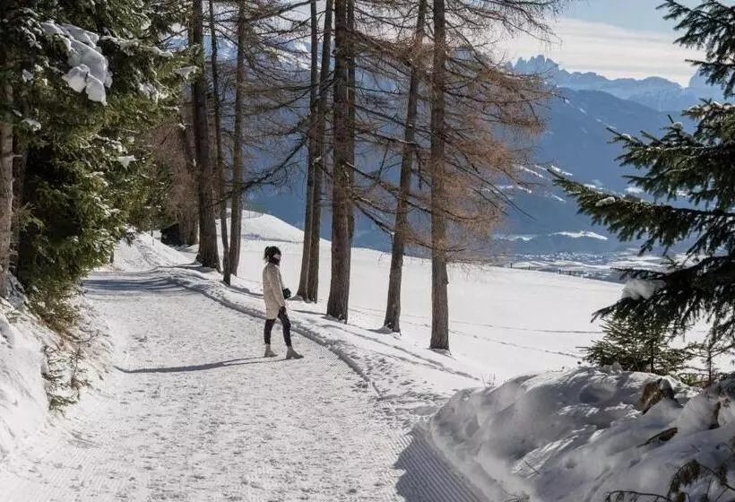 Hotelli Milla Montis