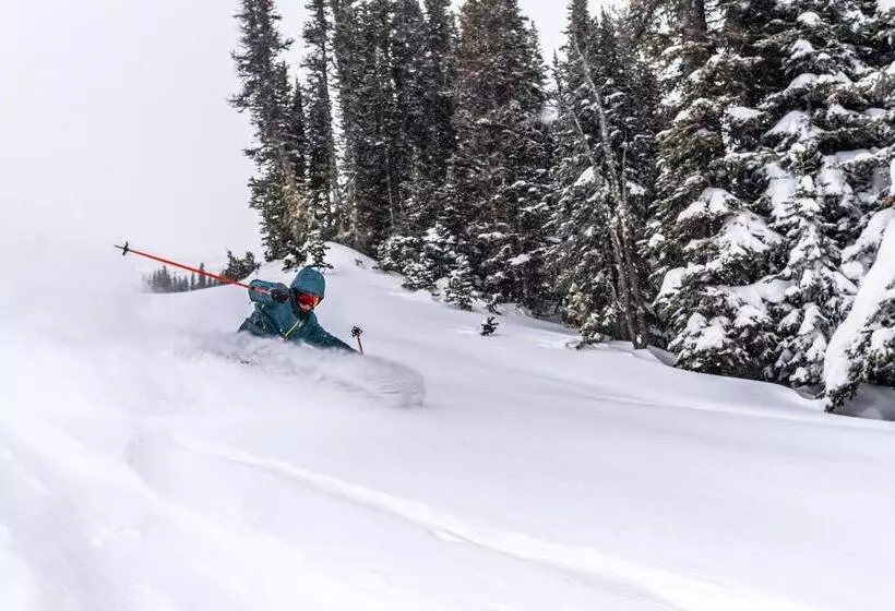 Hotelli Milla Montis