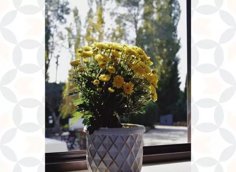 Aamiaismajoitus (B&B) Casale Rurale