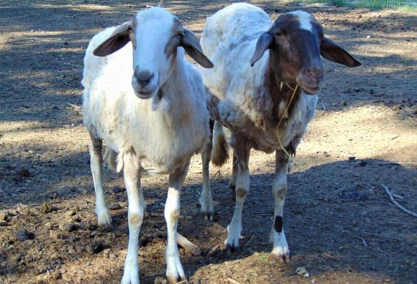 צימר Casale Rurale