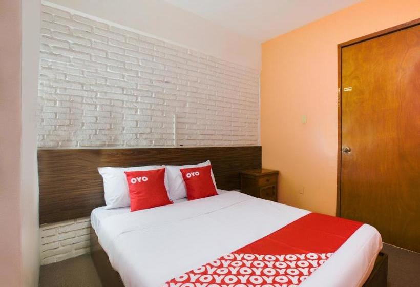 Отель Maria Teresa Inn