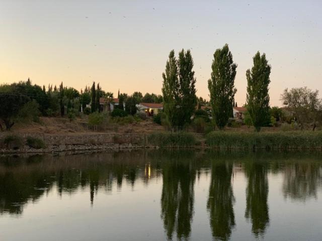 استراحتگاه El Pueblo De Leo