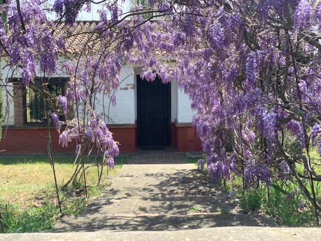 استراحتگاه El Pueblo De Leo