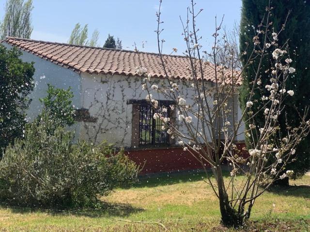 استراحتگاه El Pueblo De Leo