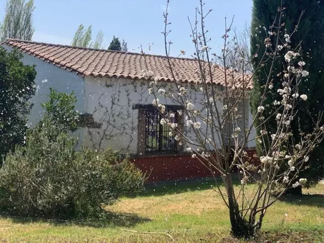 استراحتگاه El Pueblo De Leo