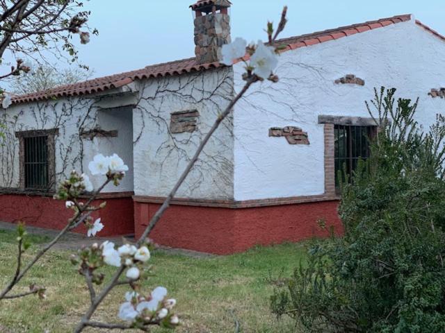 استراحتگاه El Pueblo De Leo