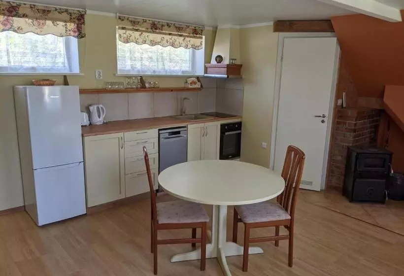 Apartment 1