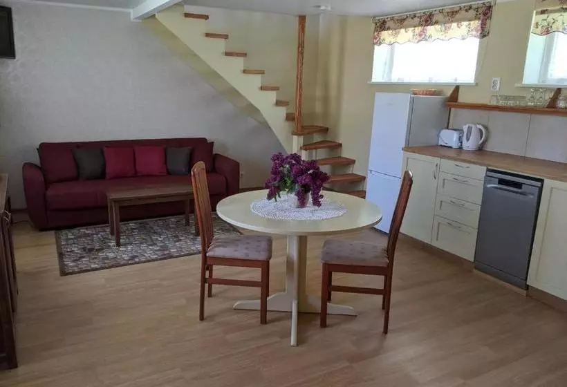 Apartment 1