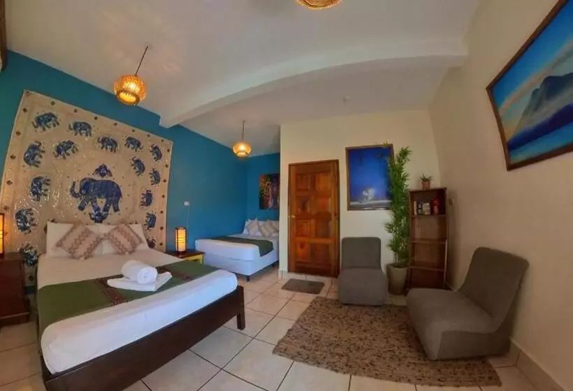 Los Amigos Hostel