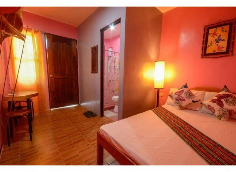 פנסיון Constantino Guest House